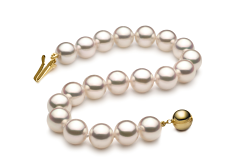 7.5-8mm japansk Akoya Armbånd in Hanadama 7-tommers Hvit