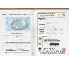 7.5-8mm japansk Akoya Armbånd in Hanadama 7-tommers Hvit